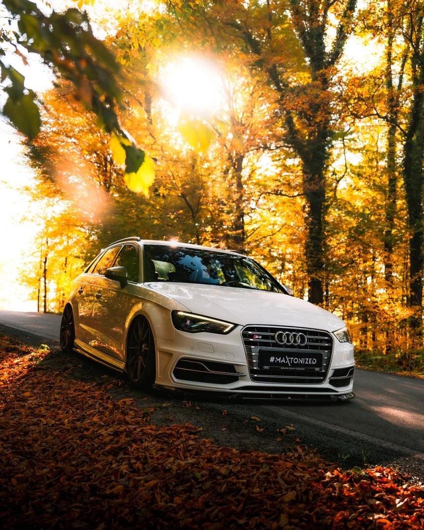 Audi S3 Sportback 8V 2.0 TFSI quattro