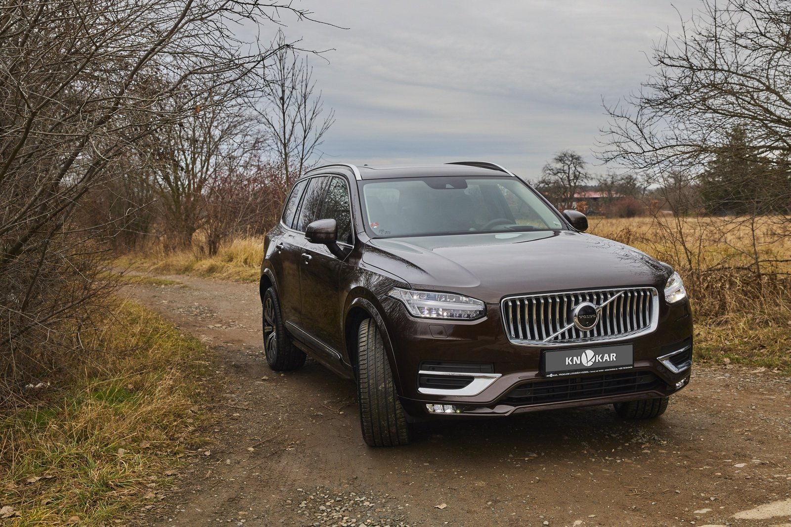 Volvo XC90 II 2.0 B5 Mild Hybrid AWD Automatic 6-7 Seat