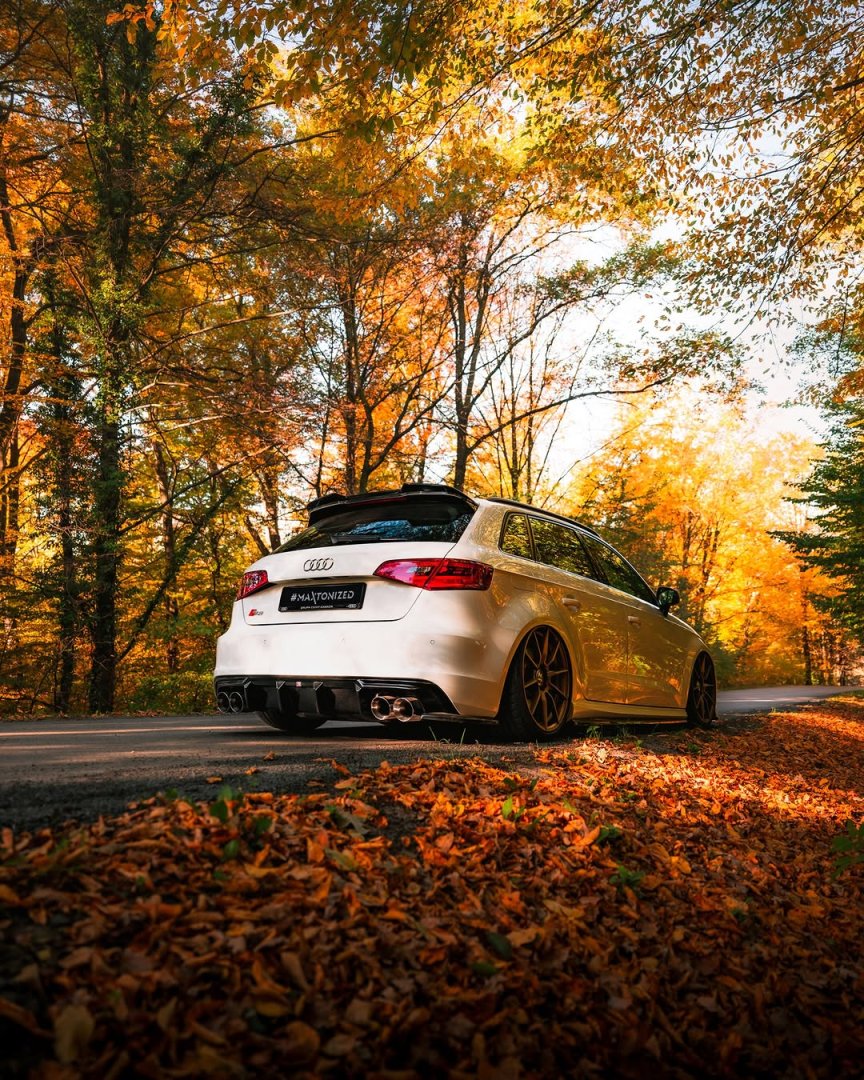 Audi S3 Sportback 8V 2.0 TFSI quattro