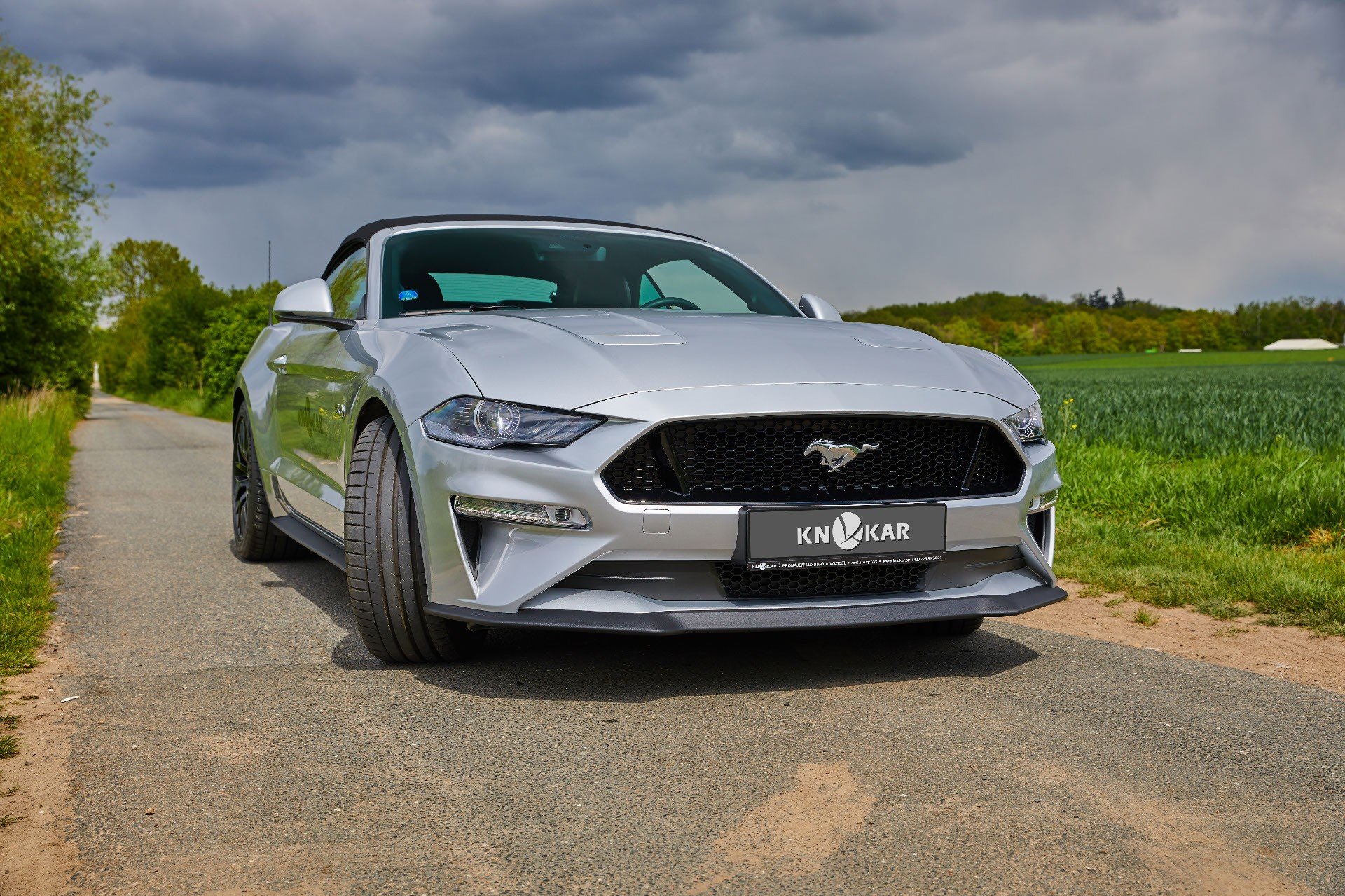 Ford Mustang Convertible VI GT 5.0 Ti-VCT V8 SelectShift